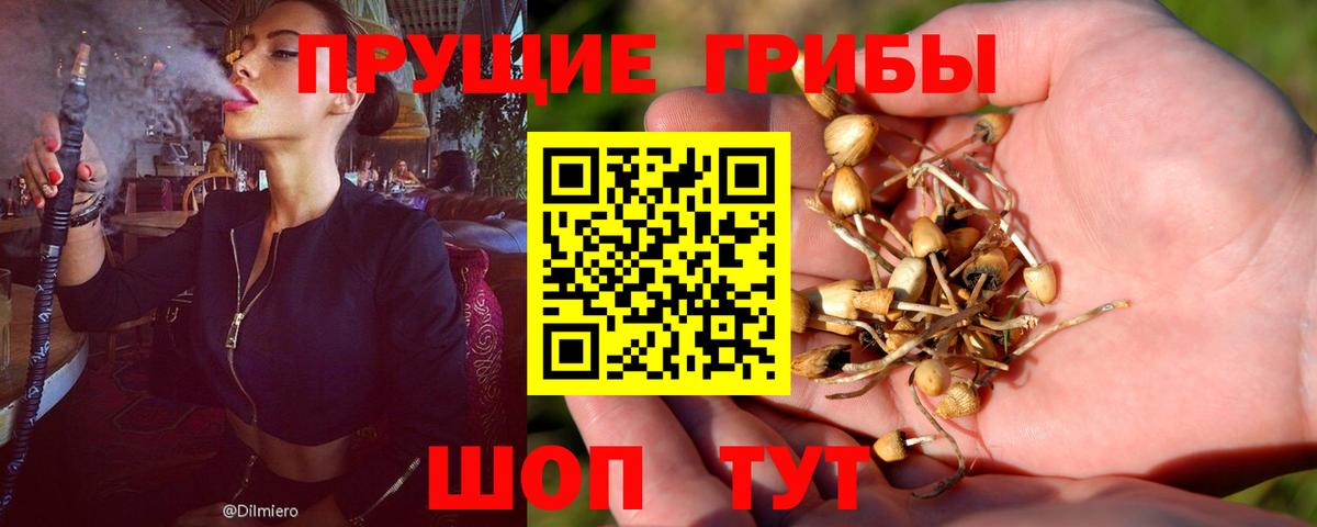 Псилоцибиновые грибы Magic Shrooms  закладка  Шелехов  Вход с VPN 